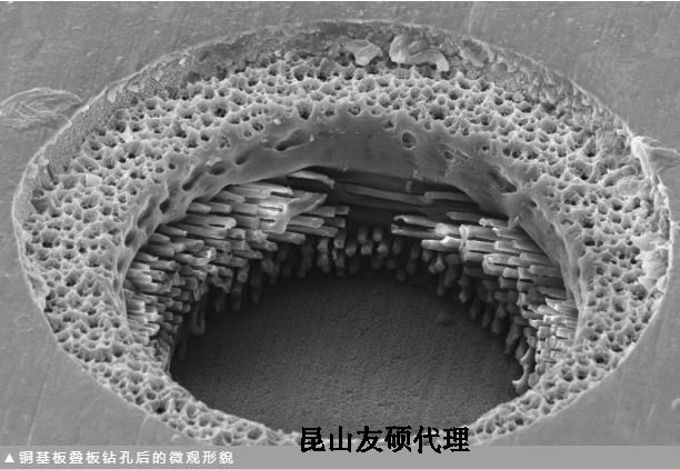 漳州蔡司漳州扫描电镜